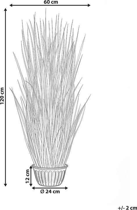 Image du produit Beliani Grass (120 cm)