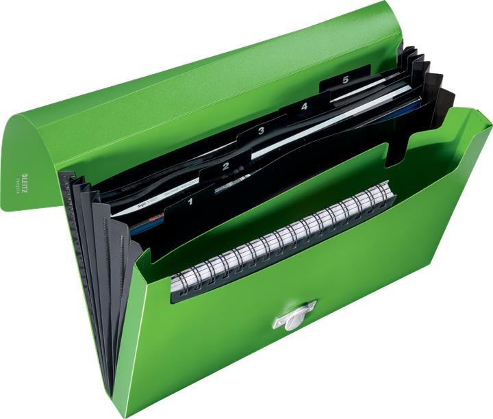 Produktbild Leitz Projektmappe (A4, 1x)