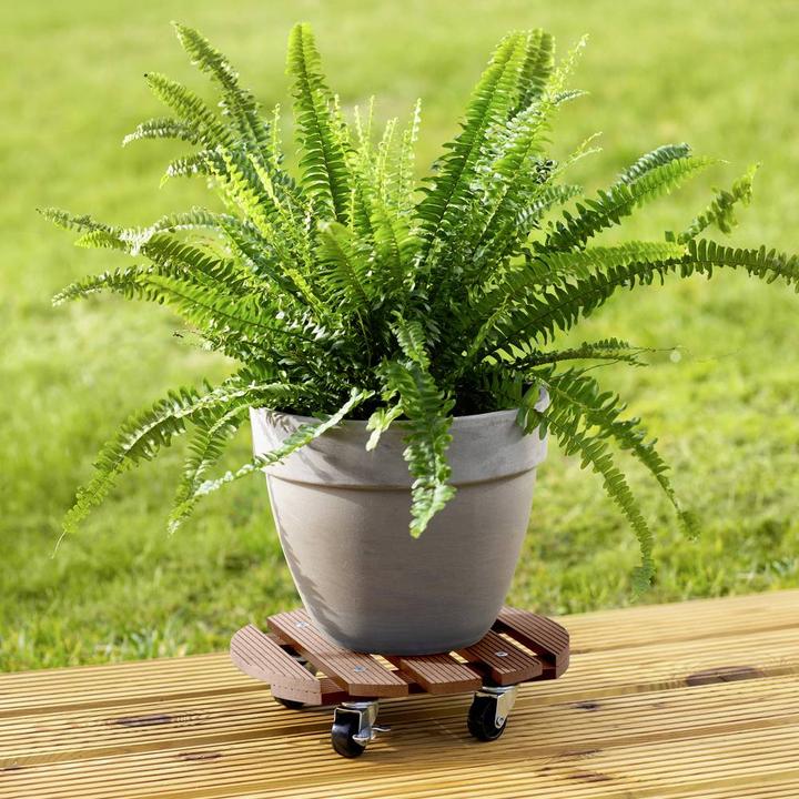 Produktbild Metafranc Transportroller WPC Traglast (max.): 60 kg (60 kg)