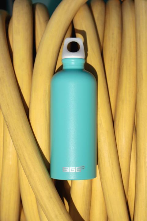 Actual product image Sigg Traveller (0.60 l)