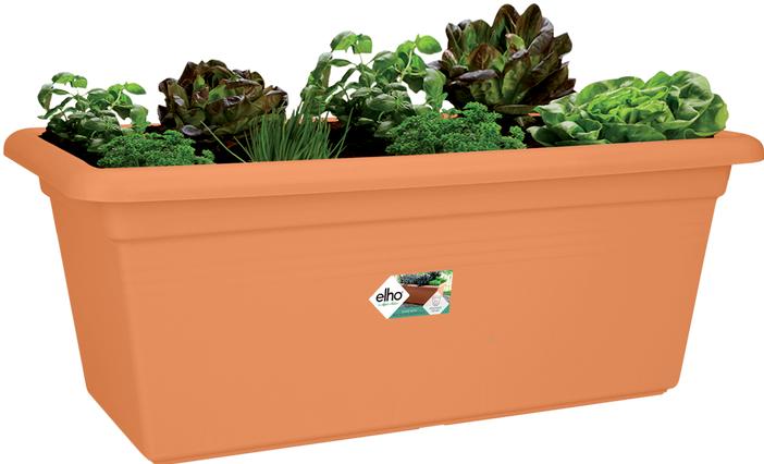 Immagine prodotto Elho Giardino Green Basics Xxl (77 x 39 x 34.50 cm)