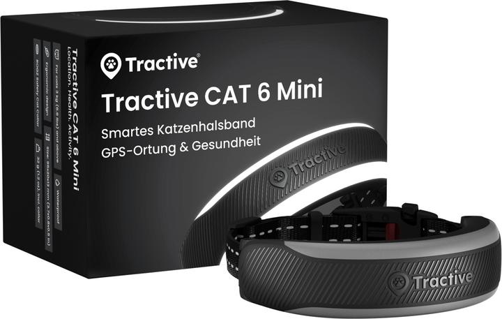 CAT 6 mini