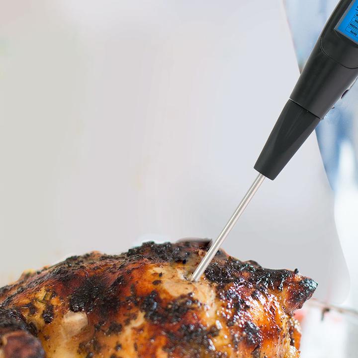 Actual product image Alpina Garden Kitchen thermometer 38cm
