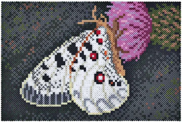 Produktbild Hama 3605 Art Schmetterling 10000