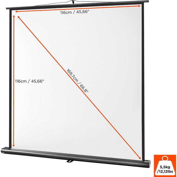 Actual product image Celexon Ultramobile Professional, Canvas (66.93", 1:1)