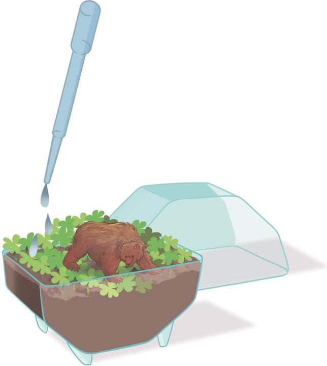 Produktbild Clementoni Science &amp Play Mein wildes Terrarium - Bär