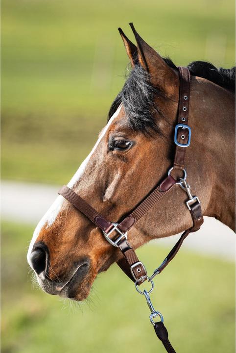 Produktbild HFI Master Néoprène Smart