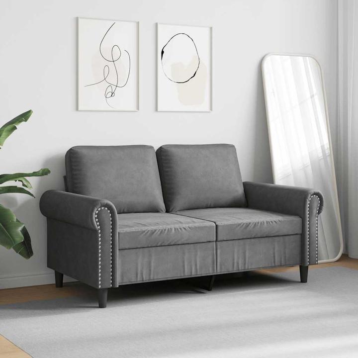 Actual product image vidaXL 2-Sitzer-Sofa (2 person sofa)