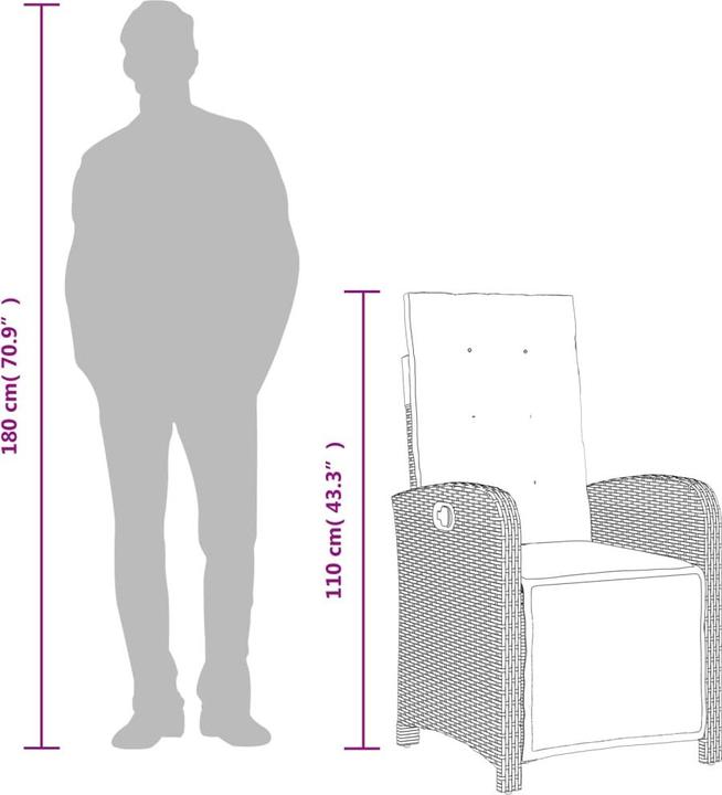 Image du produit vidaXL Fauteuil de jardin avec repose-pieds 2 pcs. Réglable