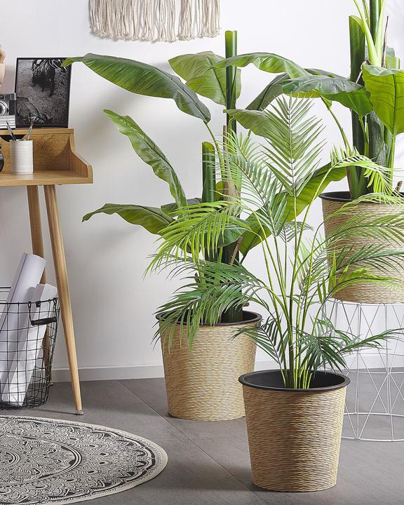 Immagine prodotto Beliani Areca Palm (124 cm)