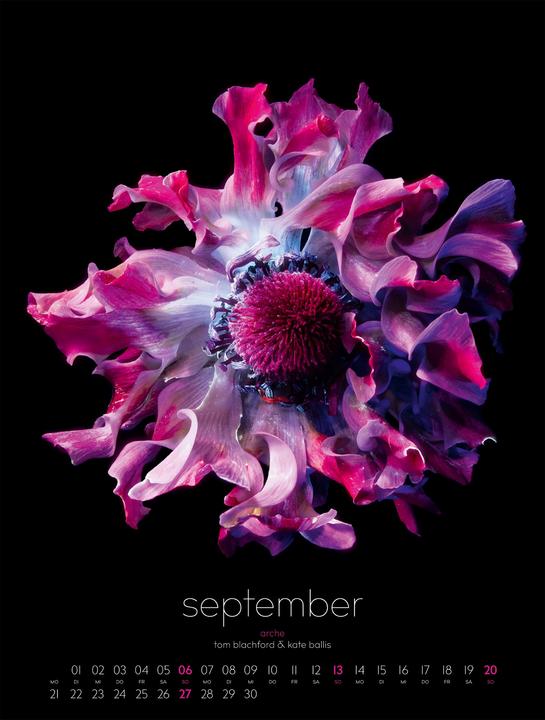 Produktbild in bloom Kalender 2026 (50 x 66 cm)