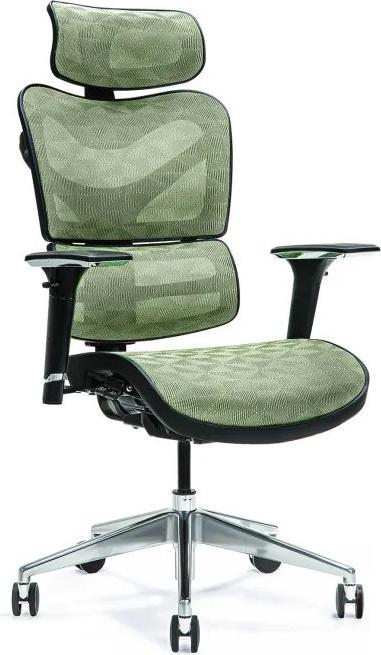 Bemondi Ergo (42 - 51 cm)