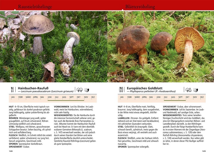 Produktbild Kosmos Welcher Pilz ist das? (Deutsch, Markus Flück, 2024)
