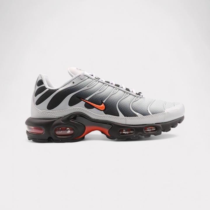 Actual product image Nike Air Max Plus (46)