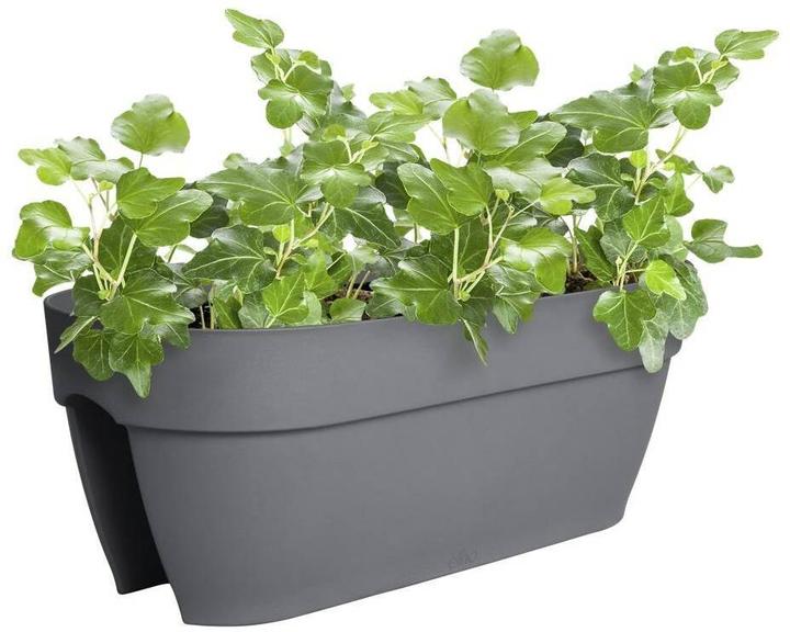 Immagine prodotto Elho Vibia Campana Flower Bridge (60 cm)