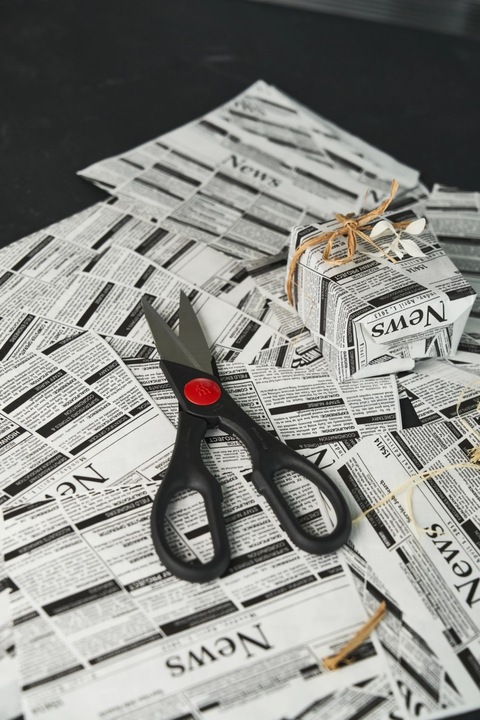 Actual product image Zwilling Multipurpose scissors Twin (20 cm)