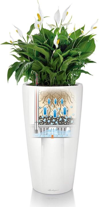 Immagine prodotto Lechuza Rondo (40 x 75 cm)