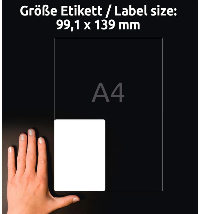 Image du produit Avery Étiquettes en film résistant aux intempéries