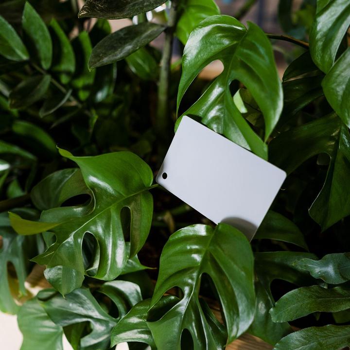 Produktbild Caruba Digitale Graukarte DGC 1 (Blitzdiffusor)