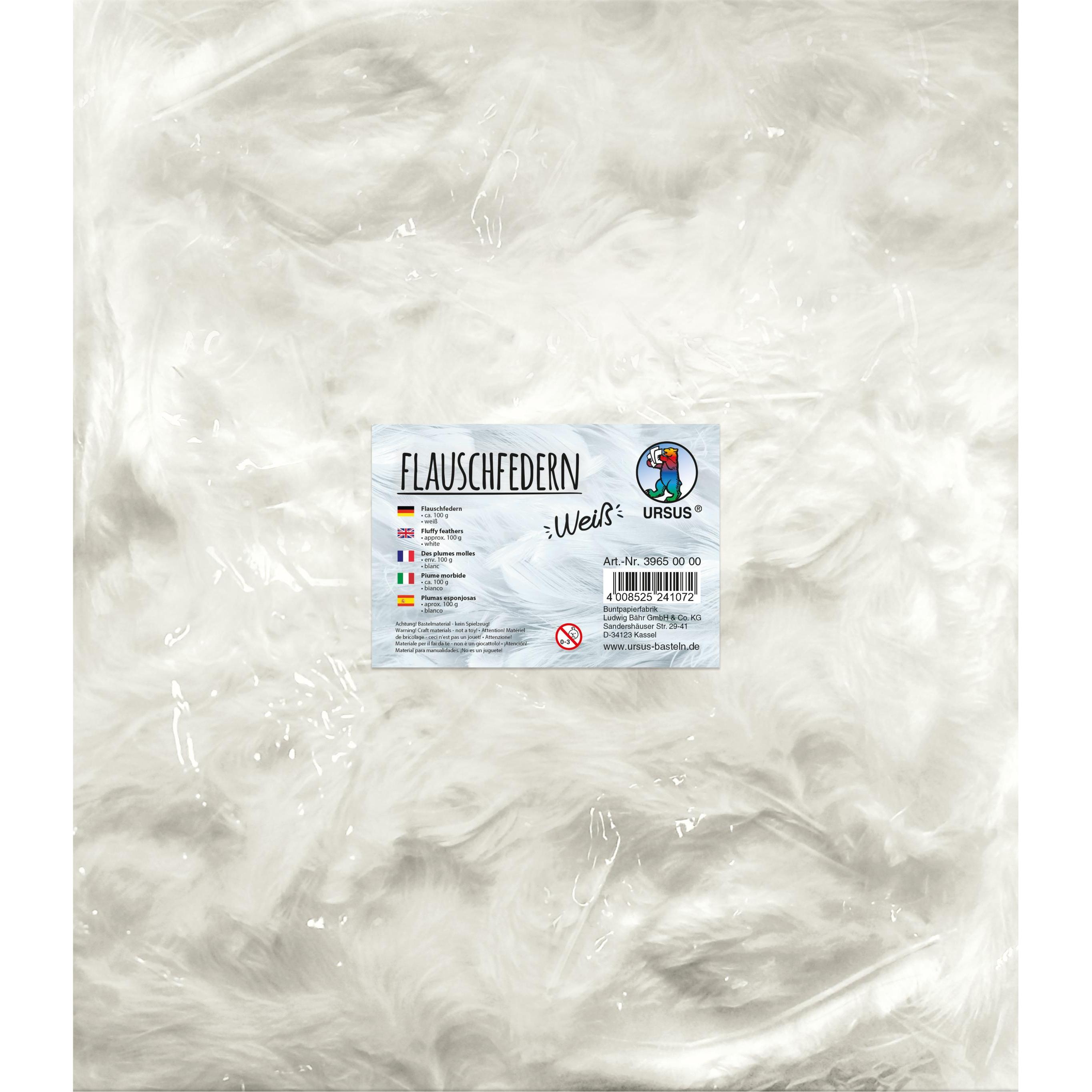 Thumbnail - Ursus Federn