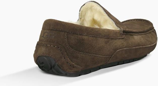 Actual product image Ugg Ascot (42)
