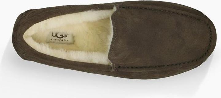 Actual product image Ugg Ascot (42)