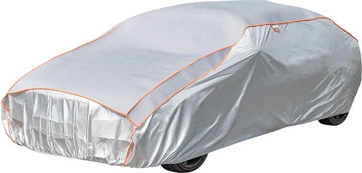 ProPlus Hagelschutzgarage XL (540 x 175 x 120 cm) Dicke 5 mm