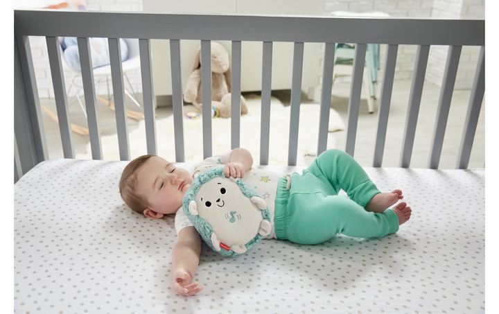 Image du produit Fisher-Price Mon Hérisson Dodo