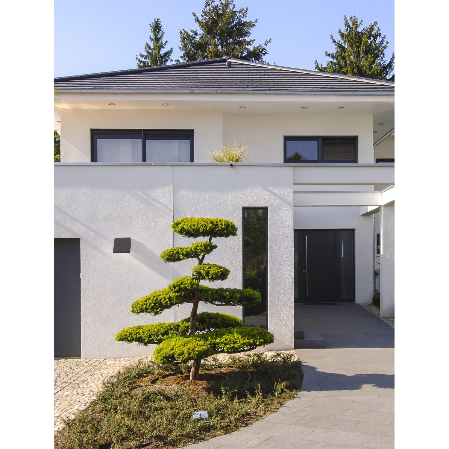 Thumbnail - Nova Luce, Wandleuchte + Deckenleuchte, Parris (395 lm)