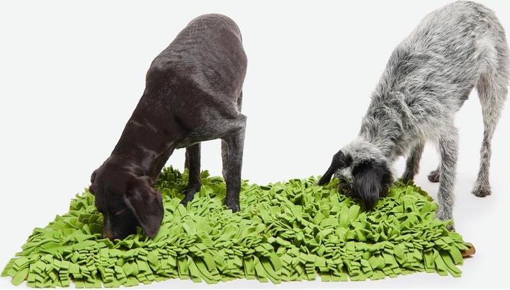 Produktbild Knauder's Best Hunde-Spielzeug Schnüffelrasen XL 90 x 70 cm (Kauspielzeug Hund)