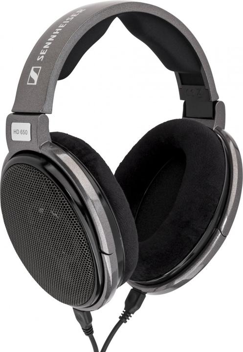 Productafbeelding Sennheiser HD 650 (Geen ruisonderdrukking, Bedraad)