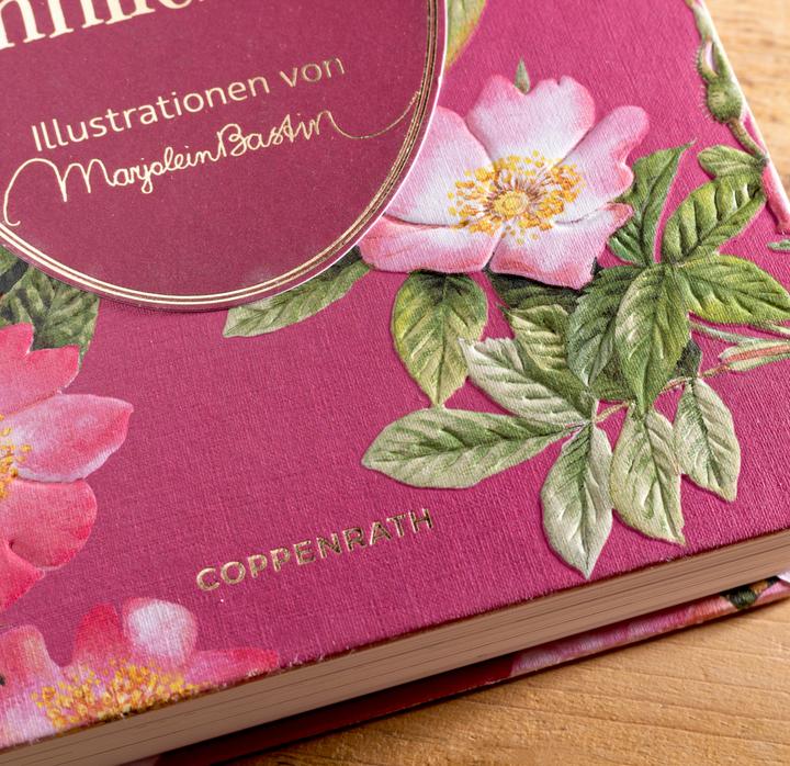 Image du produit Sinn und Sinnlichkeit (Allemand, Marjolein Bastin, Jane Austen, 2019)