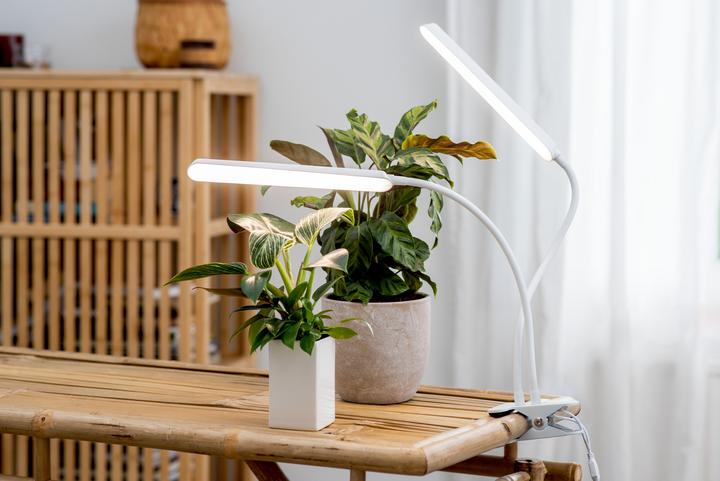 Image du produit Airam Tulip -kasvivalaisin, /840, 780 lm, valkoinen