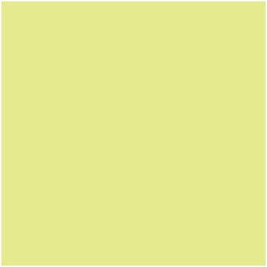 Lefranc & Bourgeois, Evidenziatori, Promarker Lime Zest G159