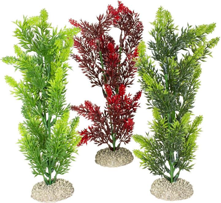 EBI Aqua Della Plante Elodea Densa Set M (Plantes)