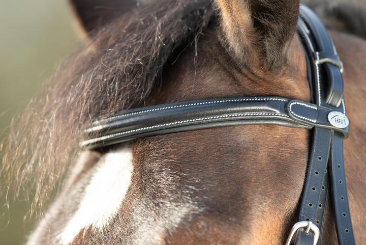 Immagine prodotto HFI Master Technical