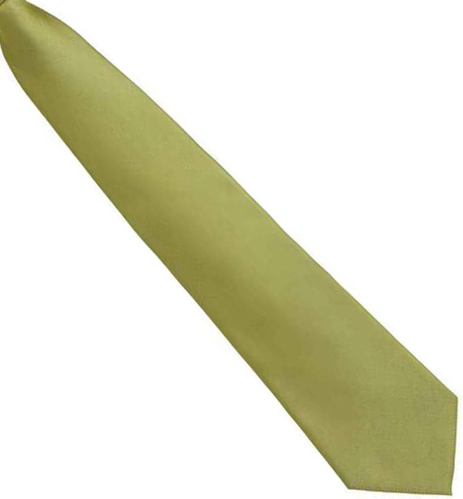 Actual product image Premier Unisex Adult Colours Fashion Plain Clip-On Tie