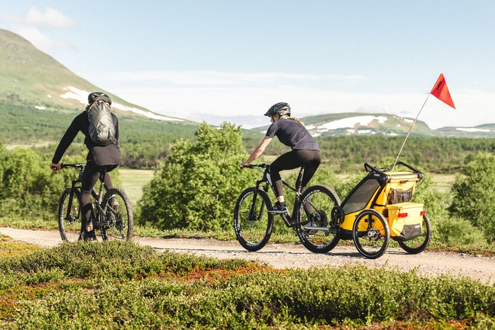 Actual product image Thule Chariot Sport 1