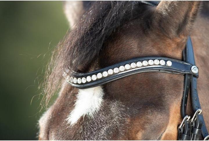 Image du produit HFI Master Shiny