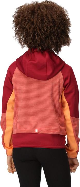 Produktbild Regatta Prenton II Softshelljacke mit Kapuze (116)