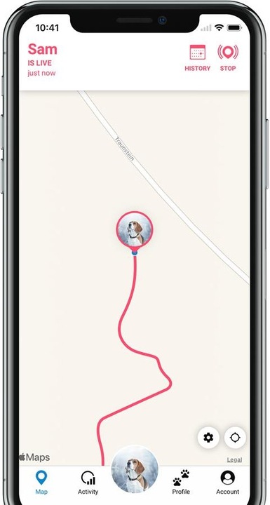 Actual product image Tractive Dog 4 GPS Tracker for Dogs (One size, Dog, General)