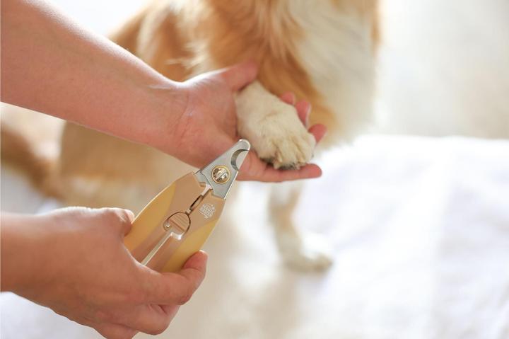 Produktbild Magic Brush Krallenschneider für Hunde (Hund)