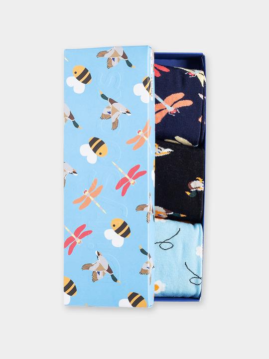 Actual product image DillySocks Blossom Trio (Box of 3) (41 - 46)