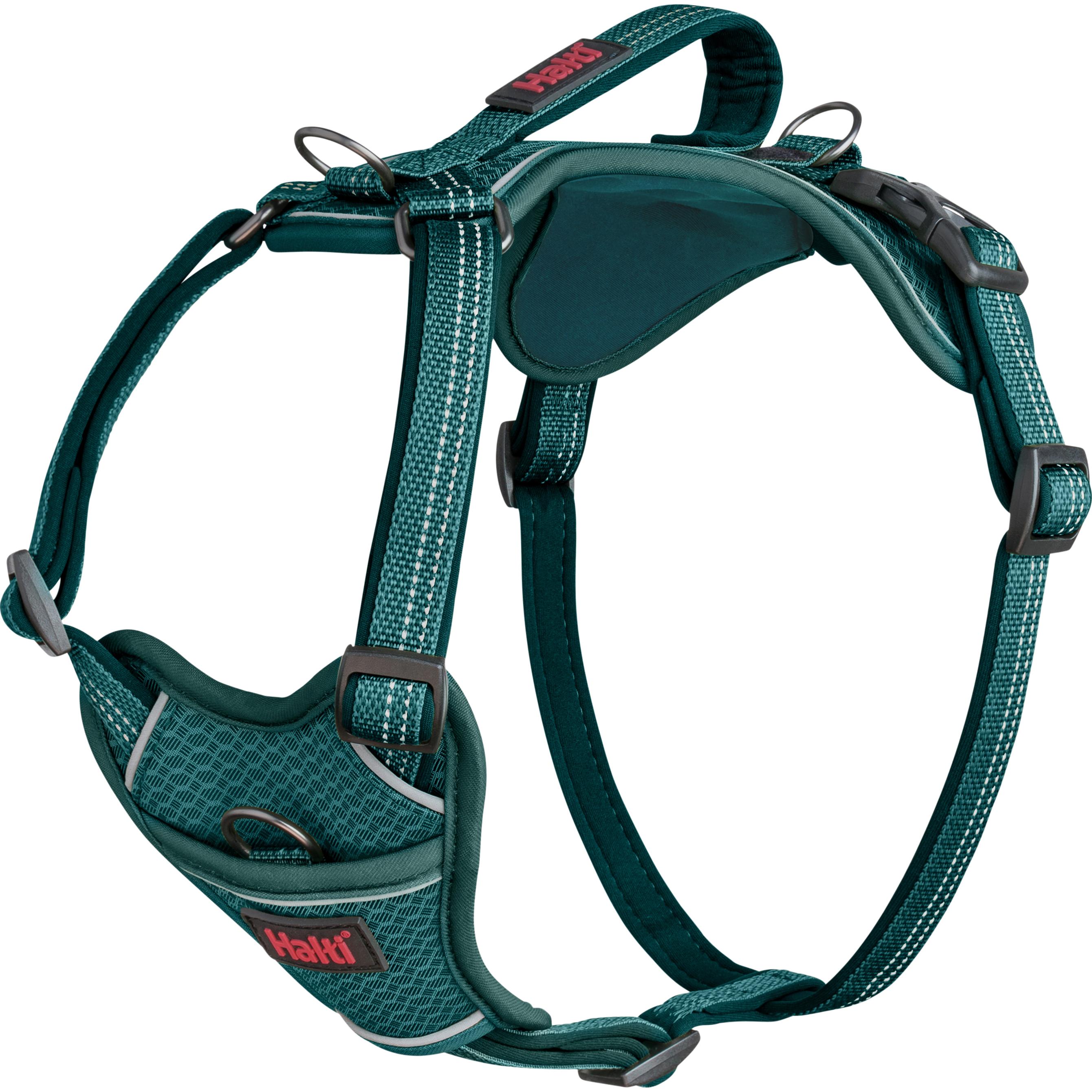 Meilleurs prix pour Harnais pour Chien Company of Animals Turquoise S 28-42 cm