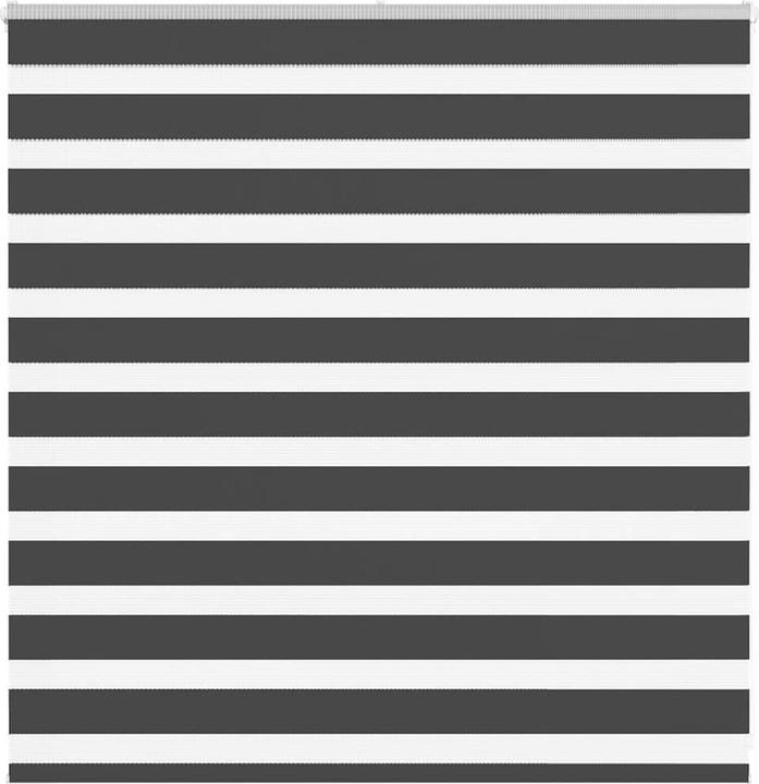 Produktbild vidaXL Zebra-Jalousie (145 x 100 cm)