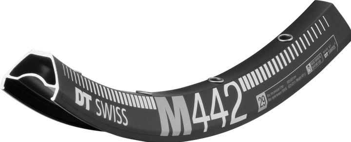 Image du produit DT Swiss M 442 (29")