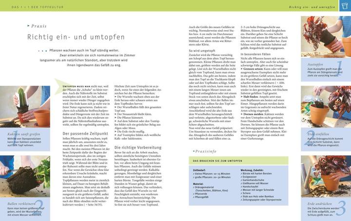 Actual product image Zimmerpflanzen (German, Karin Greiner, 2016)