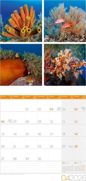 Image du produit Colours of Nature Kalender 2026 - 30x30 (30 x 30 cm, Couverture rigide, Français, Anglais, Italien)