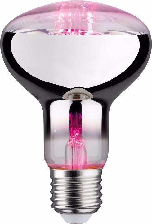 Actual product image Paulmann Plant lamp (LED, 230 V)
