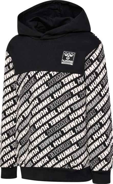 Produktbild hummel hmlCAMERON HOODIE (134)